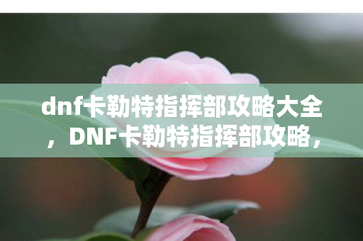 dnf卡勒特指挥部攻略大全图片