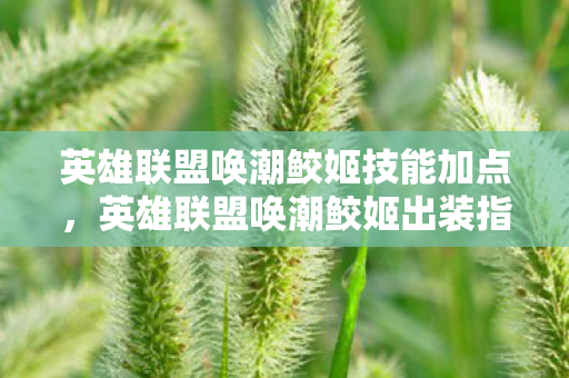 英雄联盟唤潮鲛姬技能加点图片