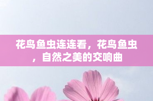 自然之美的交响曲图片