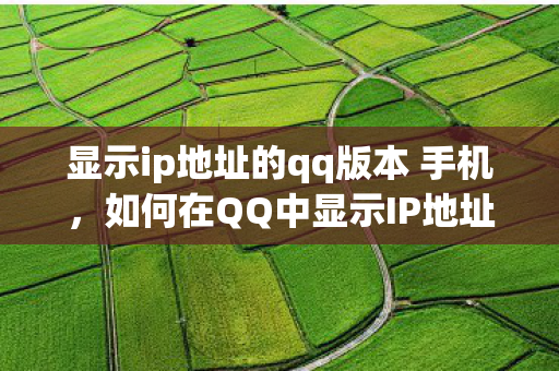 显示ip地址的qq版本 手机图片
