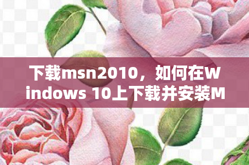 如何在Windows 10上下载并安装MSN图片