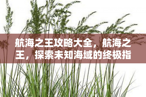 探索未知海域的终极指南图片