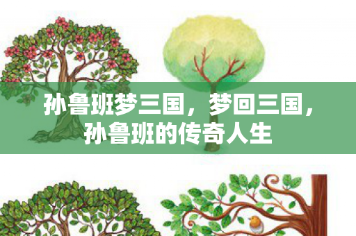 孙鲁班的传奇人生图片