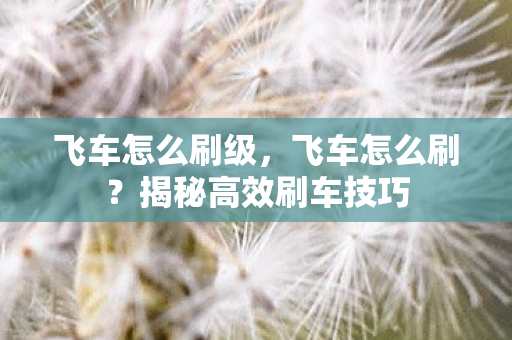揭秘高效刷车技巧图片