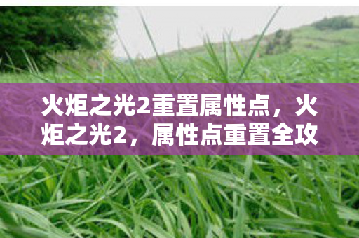 火炬之光2重置属性点图片