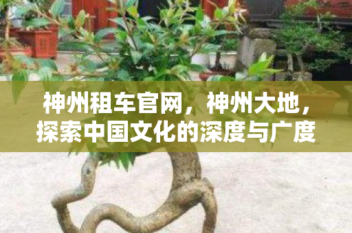 探索中国文化的深度与广度图片