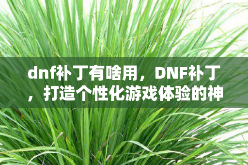 dnf补丁有啥用,DNF补丁,打造个性化游戏体验的神奇工具 dnf补丁有啥用,DNF补丁,打造个性化游戏体验的神奇工具