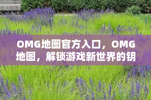 解锁游戏新世界的钥匙图片