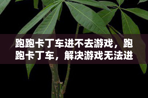 解决游戏无法进入的常见问题与解决方案图片