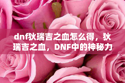 DNF中的神秘力量与传说图片