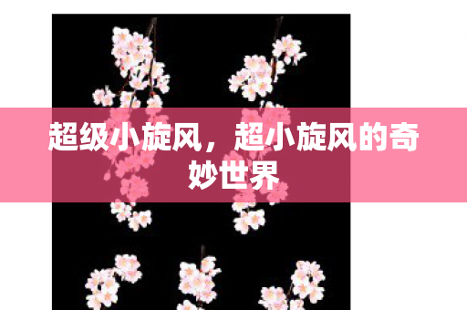 超小旋风的奇妙世界图片