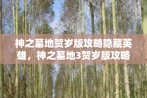 神之墓地贺岁版攻略隐藏英雄,神之墓地3贺岁版攻略,解锁隐藏关卡,提升战力全攻略 神之墓地贺岁版攻略隐藏英雄,神之墓地3贺岁版攻略,解锁隐藏关卡,提升战力全攻略