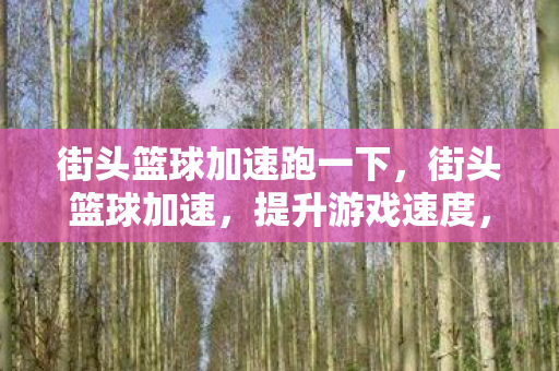 街头篮球加速跑一下，街头篮球加速，提升游戏速度，畅享竞技乐趣