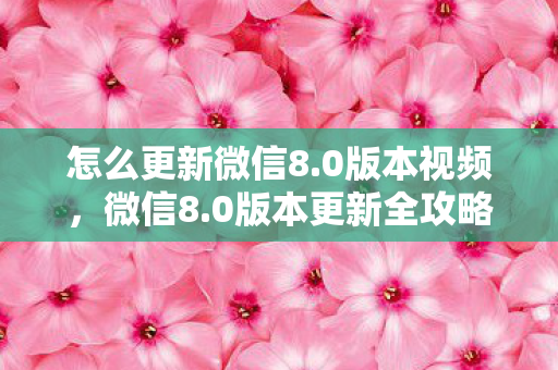 怎么更新微信8.0版本视频，微信8.0版本更新全攻略，轻松升级，体验全新功能