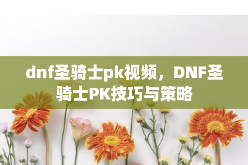 dnf圣骑士pk视频，DNF圣骑士PK技巧与策略