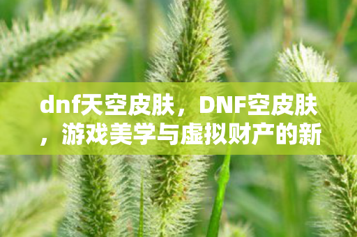 dnf天空皮肤,DNF空皮肤,游戏美学与虚拟财产的新探索 dnf天空皮肤,DNF空皮肤,游戏美学与虚拟财产的新探索