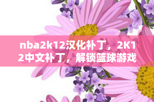nba2k12汉化补丁,2K12中文补丁,解锁篮球游戏新体验 nba2k12汉化补丁,2K12中文补丁,解锁篮球游戏新体验