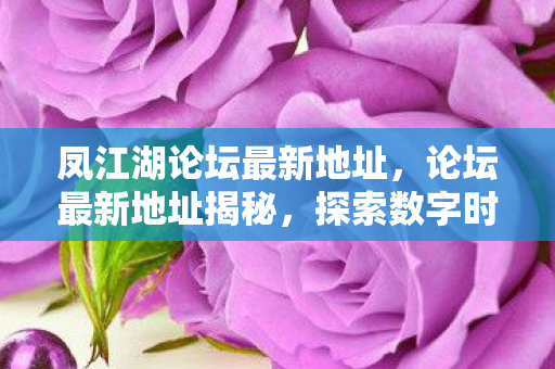 凤江湖论坛最新地址，论坛最新地址揭秘，探索数字时代的交流平台
