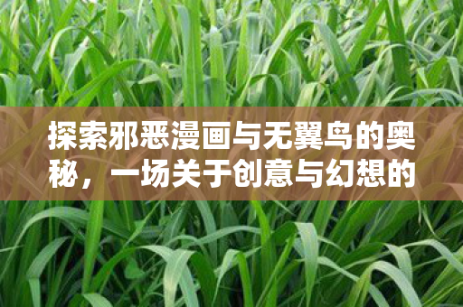 探索邪恶漫画与无翼鸟的奥秘,一场关于创意与幻想的奇妙之旅 探索邪恶漫画与无翼鸟的奥秘,一场关于创意与幻想的奇妙之旅