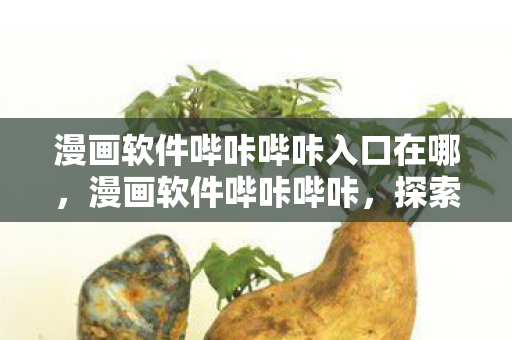 漫画软件哔咔哔咔入口在哪，漫画软件哔咔哔咔，探索无限想象的漫画世界