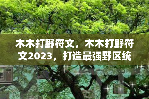 木木打野符文,木木打野符文2023,打造最强野区统治力 木木打野符文,木木打野符文2023,打造最强野区统治力