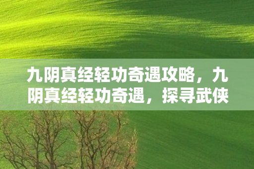 九阴真经轻功奇遇攻略,九阴真经轻功奇遇,探寻武侠世界的神秘篇章 九阴真经轻功奇遇攻略,九阴真经轻功奇遇,探寻武侠世界的神秘篇章