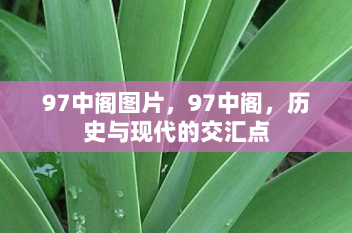 97中阁图片,97中阁,历史与现代的交汇点 97中阁图片,97中阁,历史与现代的交汇点