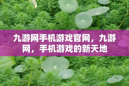 九游网手机游戏官网,九游网,手机游戏的新天地 九游网手机游戏官网,九游网,手机游戏的新天地