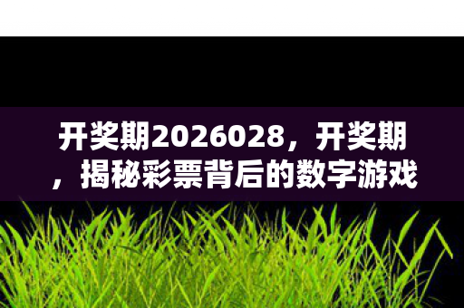 开奖期2026028，开奖期，揭秘彩票背后的数字游戏