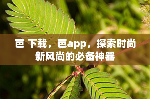 芭 下载，芭app，探索时尚新风尚的必备神器