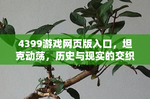 4399游戏网页版入口,坦克动荡,历史与现实的交织 4399游戏网页版入口,坦克动荡,历史与现实的交织