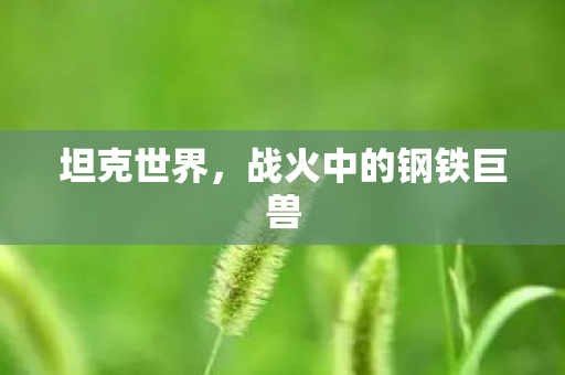 坦克世界,战火中的钢铁巨兽 坦克世界,战火中的钢铁巨兽