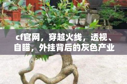 cf官网,穿越火线,透视、自瞄,外挂背后的灰色产业链 cf官网,穿越火线,透视、自瞄,外挂背后的灰色产业链