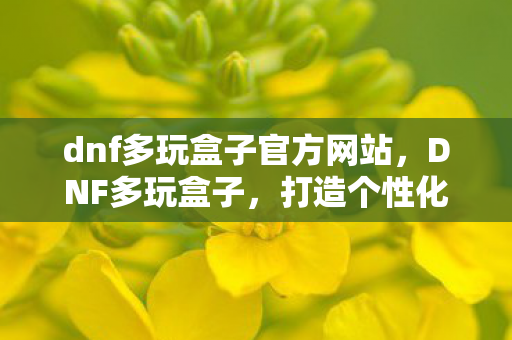 dnf多玩盒子官方网站，DNF多玩盒子，打造个性化游戏体验的必备神器