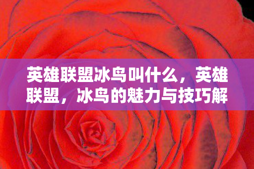 英雄联盟冰鸟叫什么,英雄联盟,冰鸟的魅力与技巧解析 英雄联盟冰鸟叫什么,英雄联盟,冰鸟的魅力与技巧解析