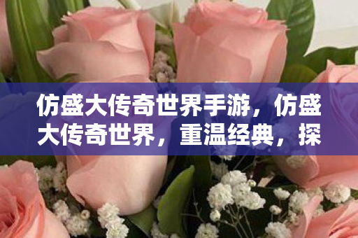 仿盛大传奇世界手游,仿盛大传奇世界,重温经典,探索未知 仿盛大传奇世界手游,仿盛大传奇世界,重温经典,探索未知