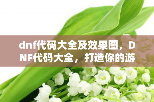 dnf代码大全及效果图，DNF代码大全，打造你的游戏开发梦想