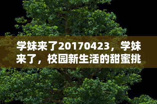 学妹来了20170423，学妹来了，校园新生活的甜蜜挑战