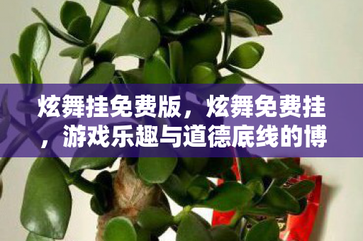 炫舞挂免费版，炫舞免费挂，游戏乐趣与道德底线的博弈