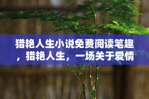 猎艳人生小说免费阅读笔趣，猎艳人生，一场关于爱情与探索的旅程