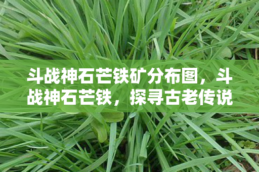 斗战神石芒铁矿分布图，斗战神石芒铁，探寻古老传说中的神秘力量