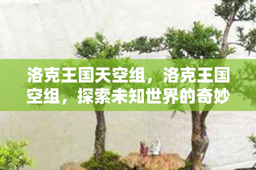 洛克王国天空组，洛克王国空组，探索未知世界的奇妙之旅