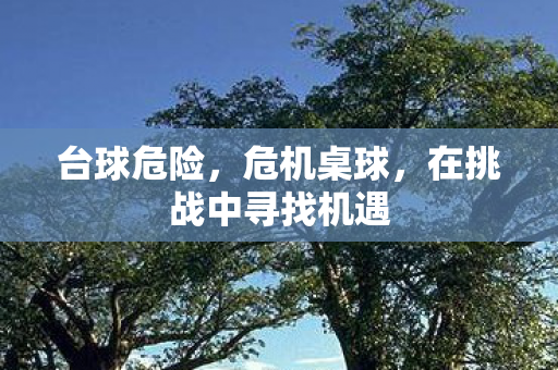 台球危险,危机桌球,在挑战中寻找机遇 台球危险,危机桌球,在挑战中寻找机遇