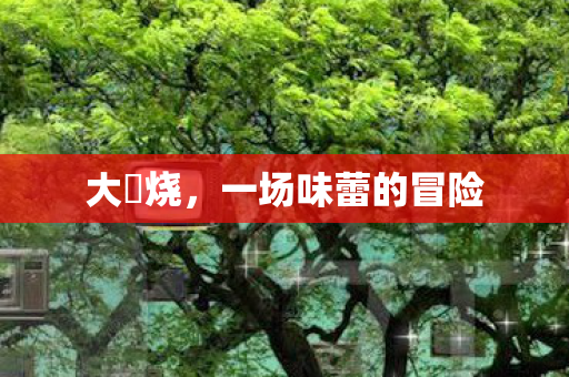 大屌烧,一场味蕾的冒险 大屌烧,一场味蕾的冒险