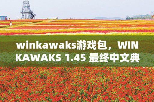 winkawaks游戏包，WINKAWAKS 1.45 最终中文典藏版，经典街机模拟器的新篇章