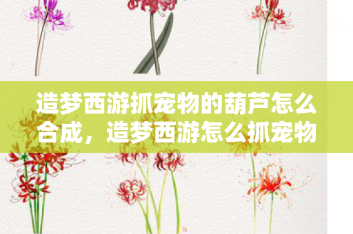 造梦西游抓宠物的葫芦怎么合成，造梦西游怎么抓宠物