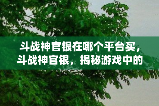 斗战神官银在哪个平台买,斗战神官银,揭秘游戏中的经济系统与货币价值 斗战神官银在哪个平台买,斗战神官银,揭秘游戏中的经济系统与货币价值