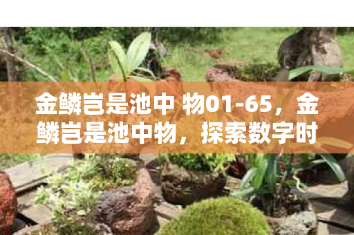 金鳞岂是池中 物01-65,金鳞岂是池中物,探索数字时代的无限可能 金鳞岂是池中 物01-65,金鳞岂是池中物,探索数字时代的无限可能