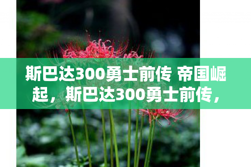 斯巴达300勇士前传 帝国崛起,斯巴达300勇士前传,传奇的崛起 斯巴达300勇士前传 帝国崛起,斯巴达300勇士前传,传奇的崛起