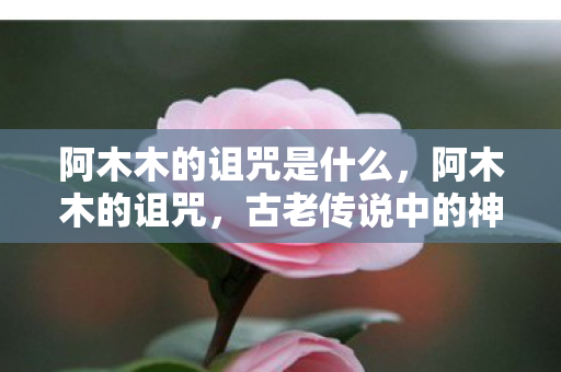 阿木木的诅咒是什么,阿木木的诅咒,古老传说中的神秘力量 阿木木的诅咒是什么,阿木木的诅咒,古老传说中的神秘力量